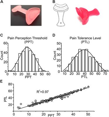 Pain Control by Proprioceptive and Exteroceptive Stimulation at the Trigeminal Level